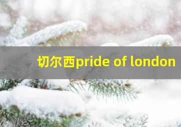 切尔西pride of london